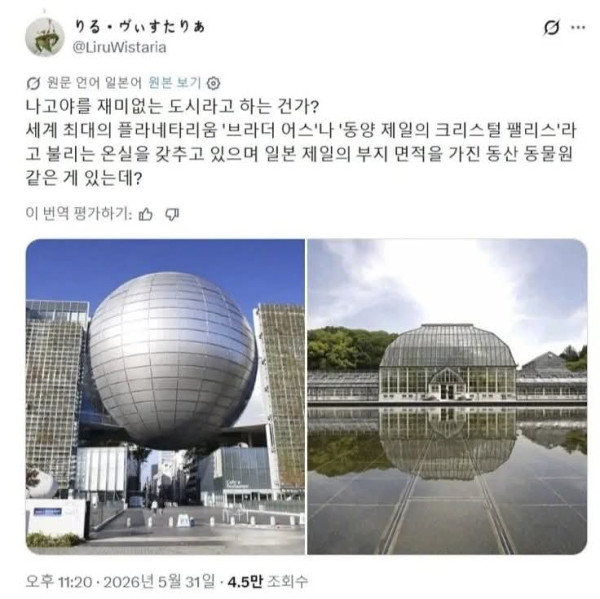 한국인에게 긁힌 일본인