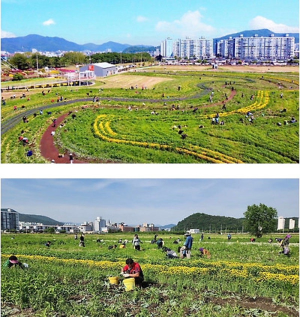 좋은 일을 해서 축복받은 듯한 도시