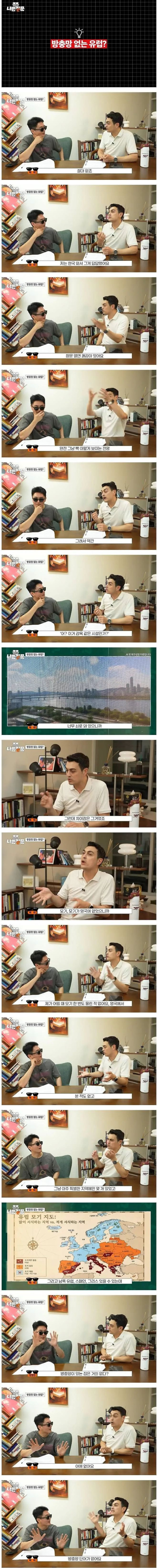 유럽 건축물에 방충망이 없는 이유