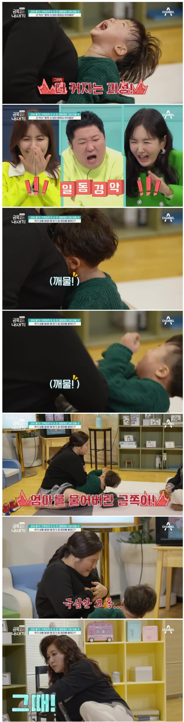솔루션 도중 분에 못이겨 엄마 깨물어버린 금쪽이