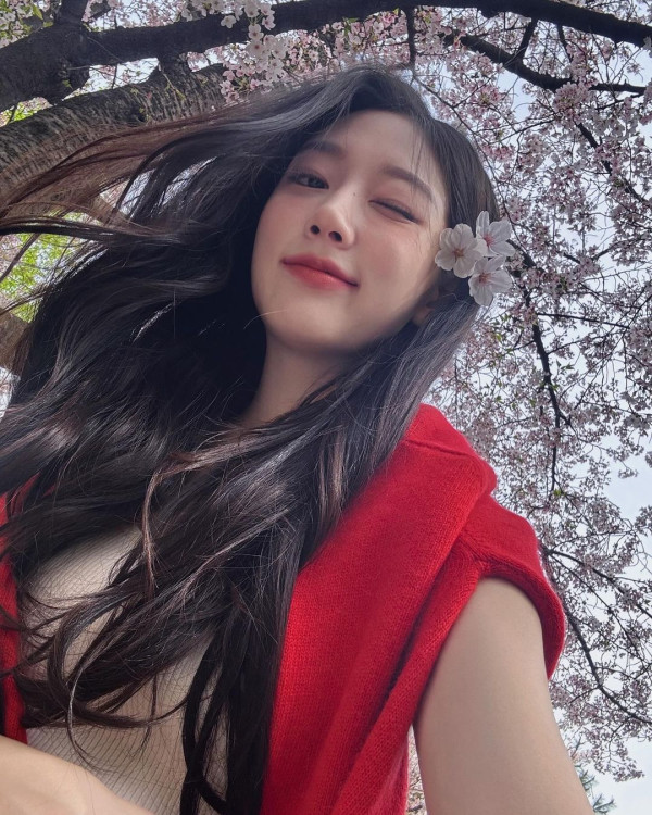 벚꽃 보러 간 고라니 정예인