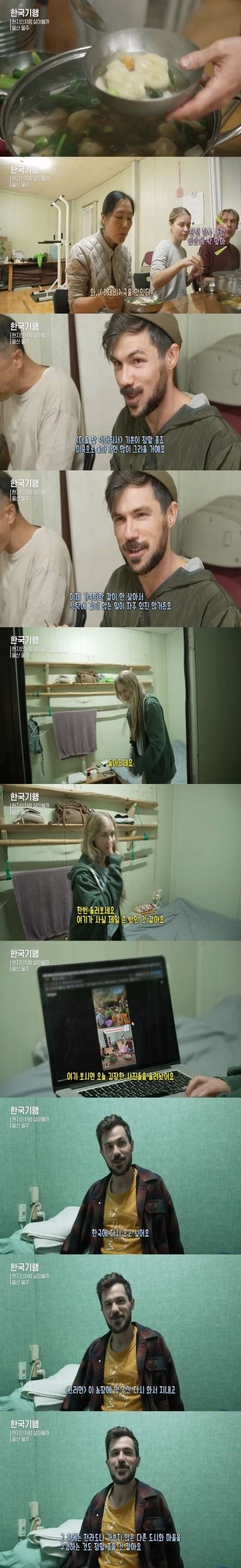 한국에서 농사일하는 백인들