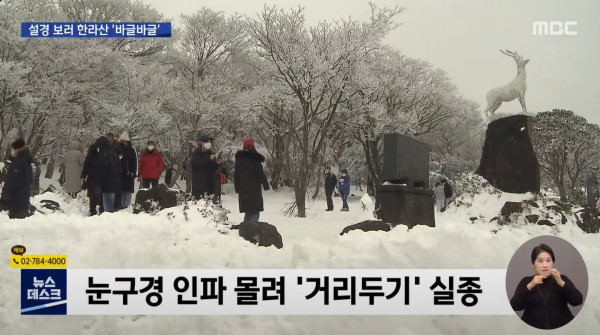 거리두기 실종! 설경 보러 한라산으로