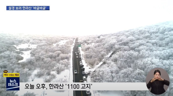 거리두기 실종! 설경 보러 한라산으로