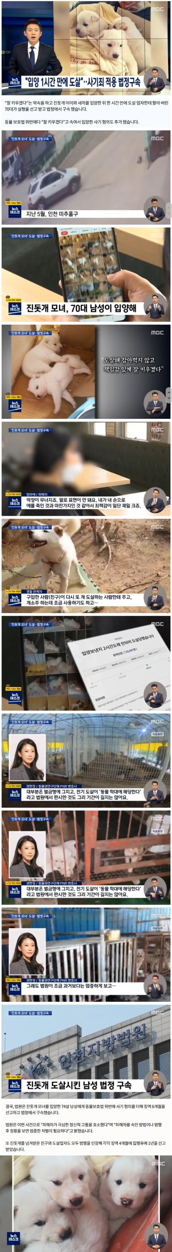 입양 1시간 만에 도살..