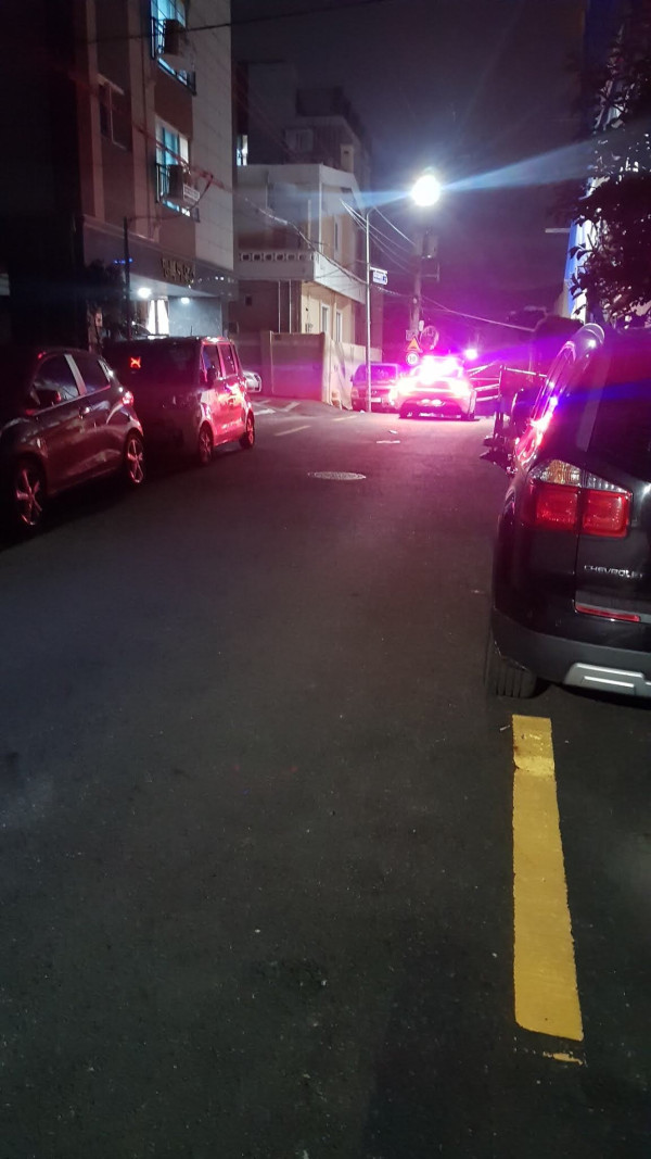 댕댕이 산책시키다 칼 맞을뻔한 디시인