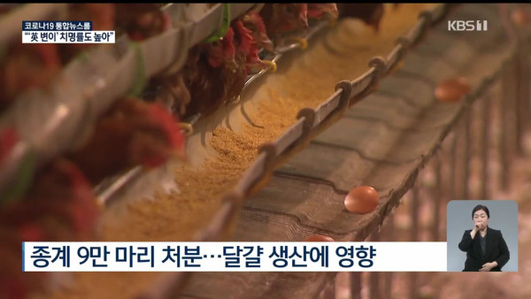 달걀 구매 제한 시작