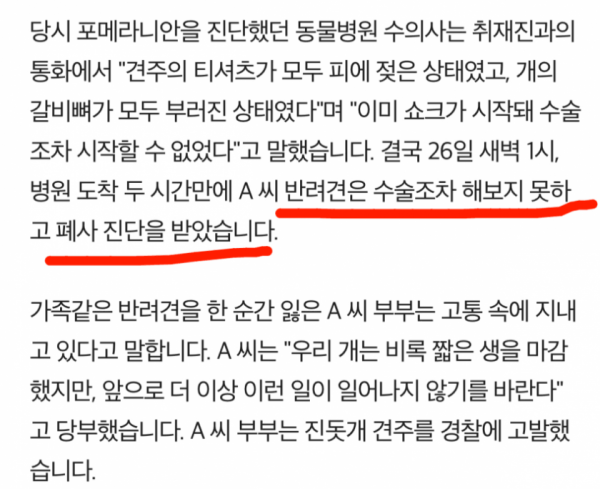 순식간에 대형 진돗개에게 물려죽은 반려견