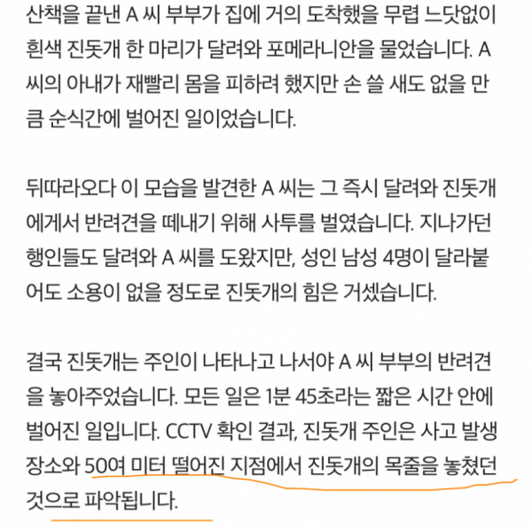 순식간에 대형 진돗개에게 물려죽은 반려견