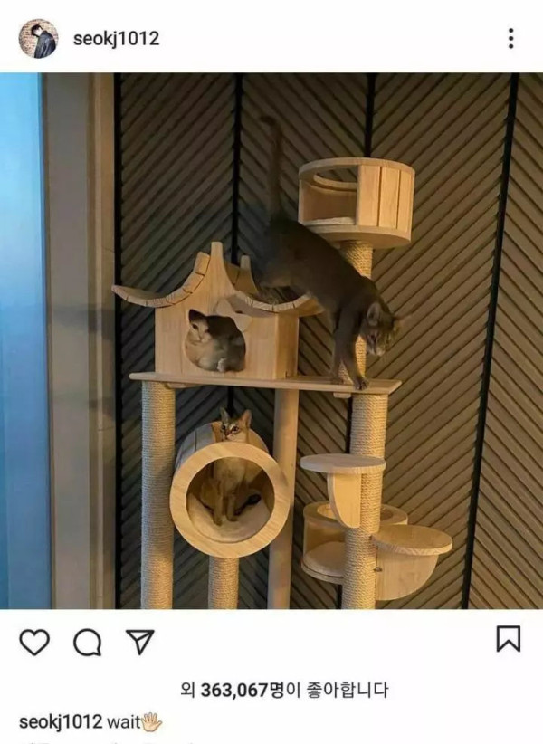 故박지선과 했던 약속을 지킨 서강준