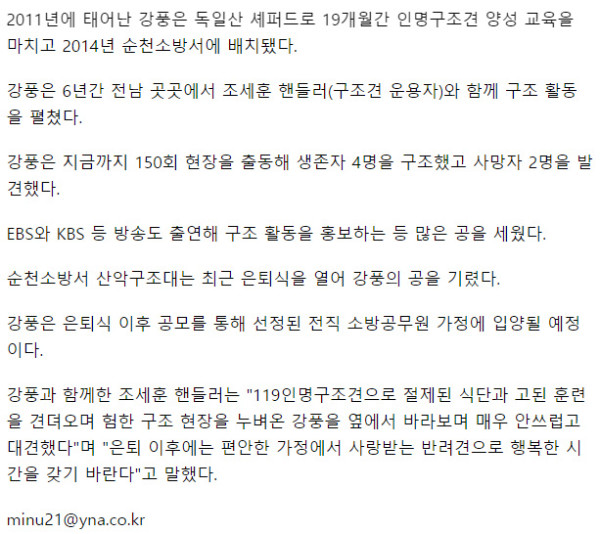 은퇴하는 인명구조견