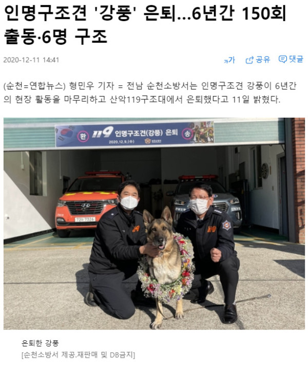 은퇴하는 인명구조견