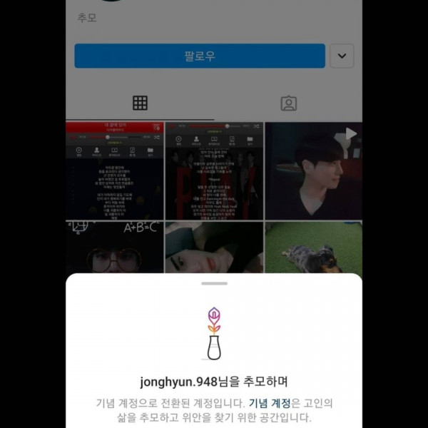 설리,구하라 인스타그램 근황