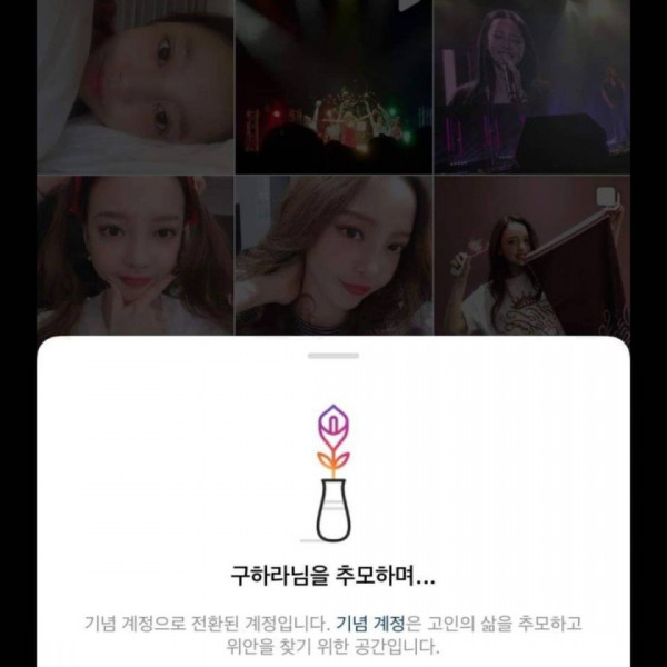 설리,구하라 인스타그램 근황