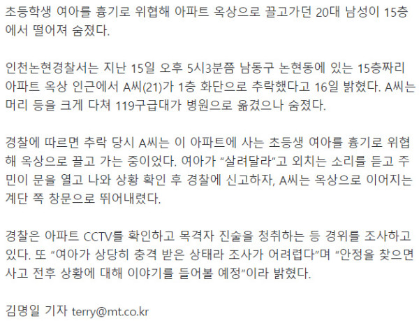초등생 여아 옥상으로 끌고가던 20대 남성 추락사