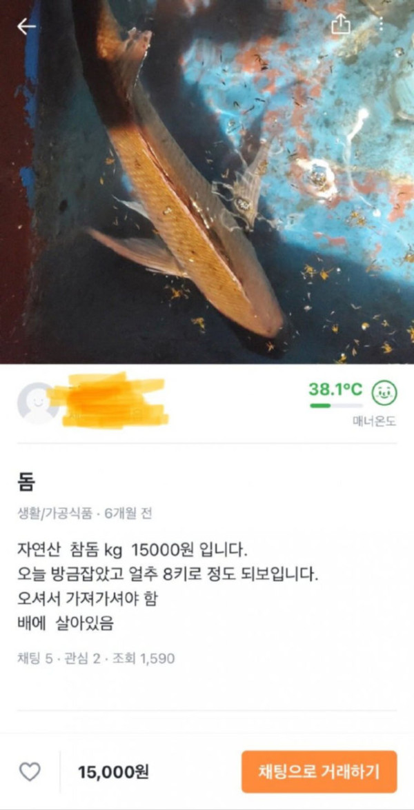 당근마켓 근황