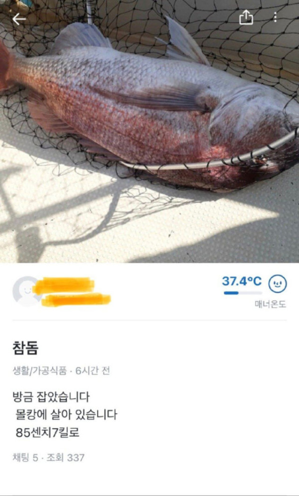 당근마켓 근황
