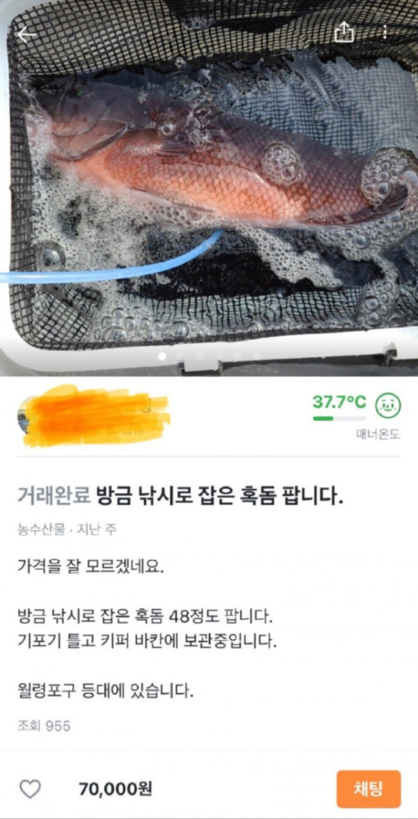당근마켓 근황