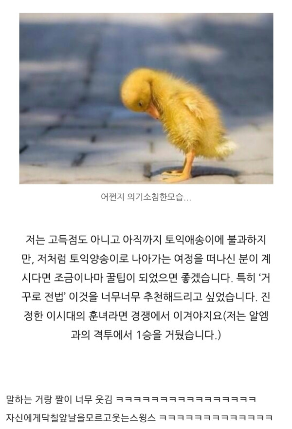토익 꿀팁
