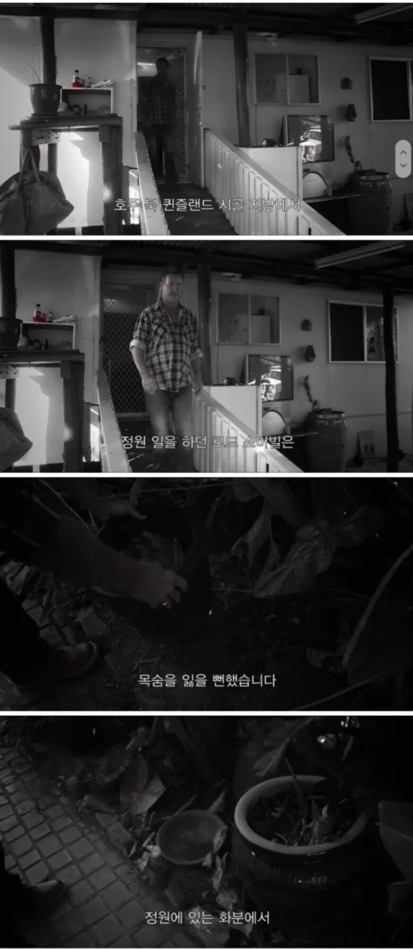 독사에게 물린 남자의 대처법