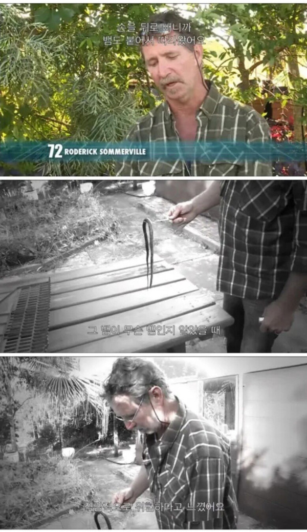 독사에게 물린 남자의 대처법