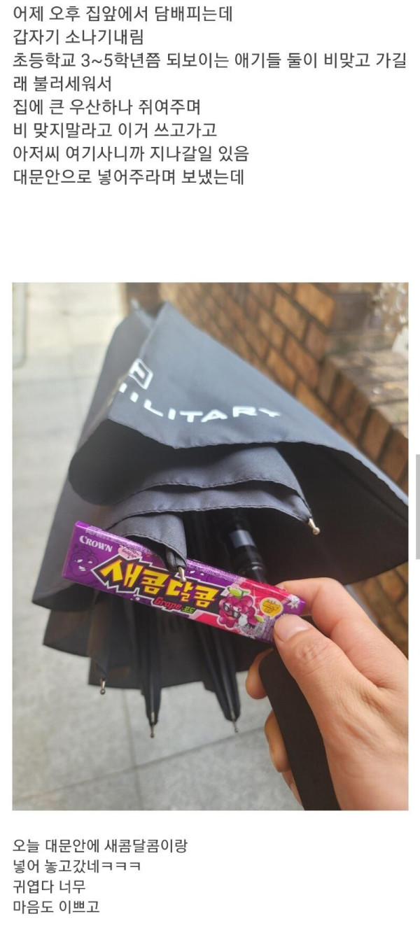 귀여운 초등학생