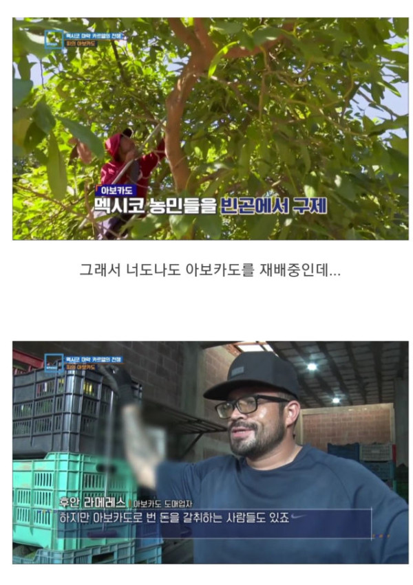 충격과 공포의 멕시코 농민들 근황