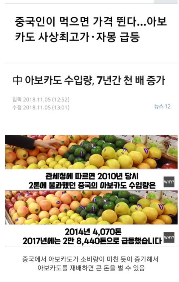 충격과 공포의 멕시코 농민들 근황