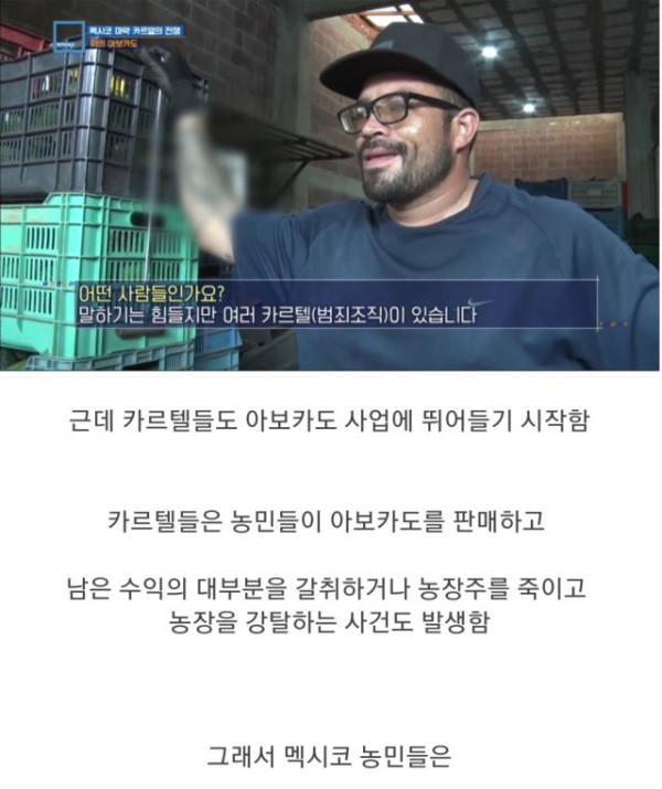 충격과 공포의 멕시코 농민들 근황