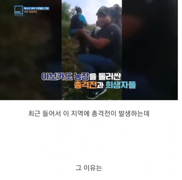 충격과 공포의 멕시코 농민들 근황