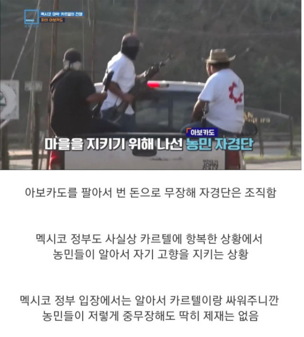 충격과 공포의 멕시코 농민들 근황