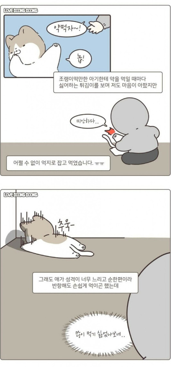 고양이가 화를 내면 나오는 표정