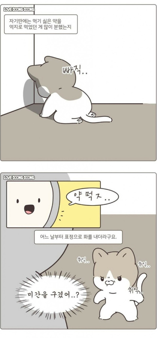 고양이가 화를 내면 나오는 표정