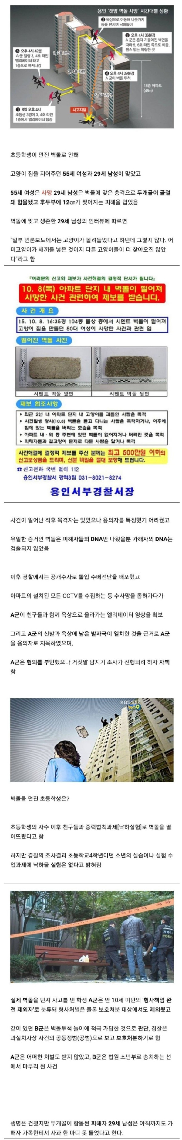 벽돌을 투척한 초등학생 근황