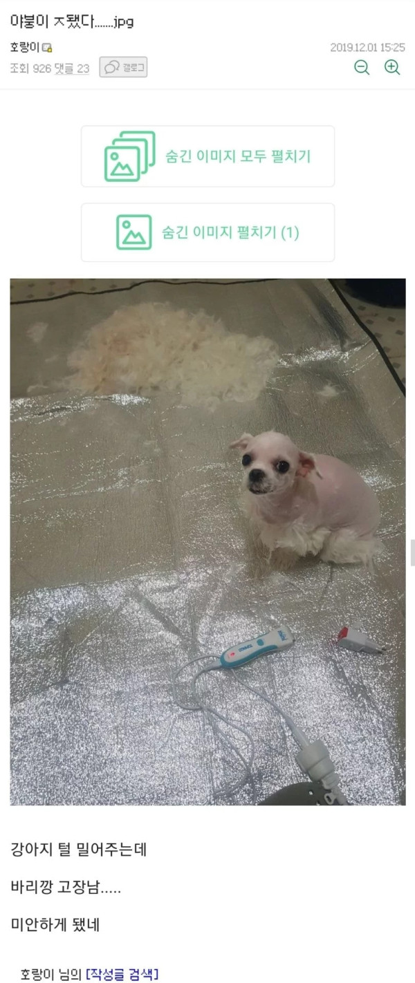 실시간 ㅈ된 디시넘...