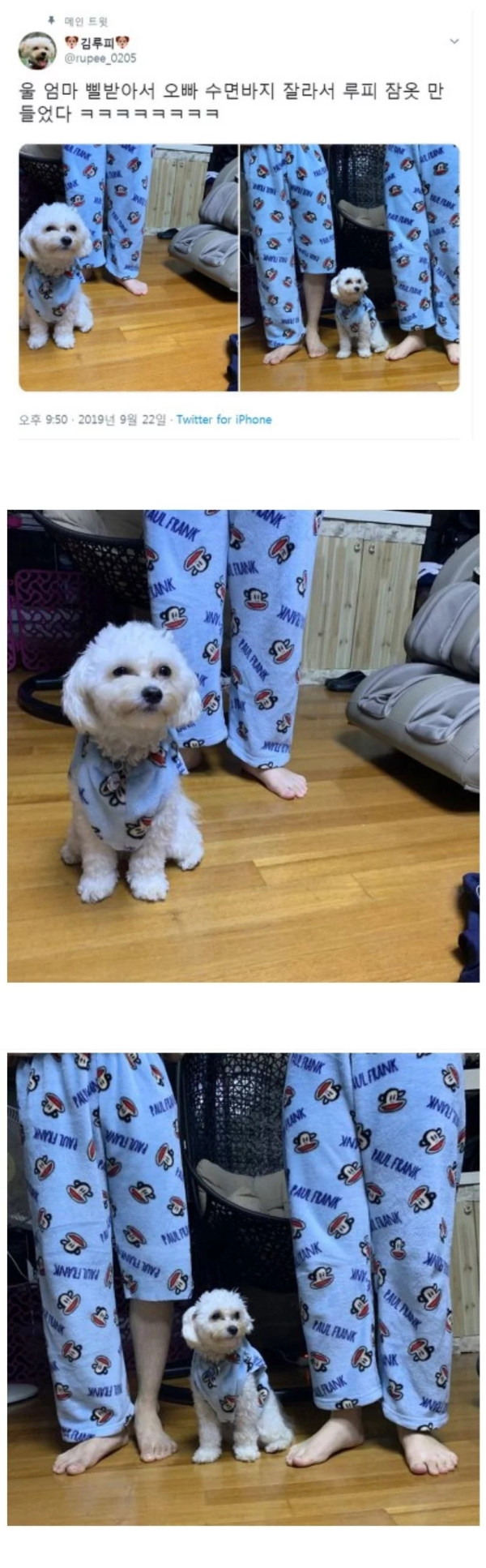 엄마가 강아지 잠옷 만들어줌~~