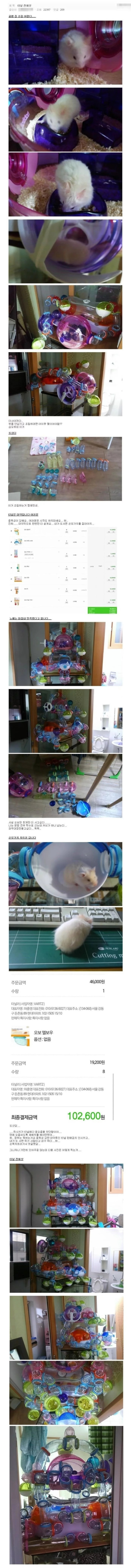 햄스터집 확장의 중독성