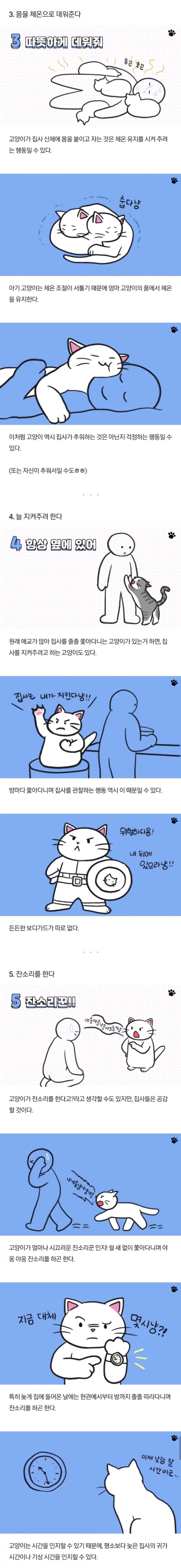 고양이가 당신을 아기로 여긴다는 증거