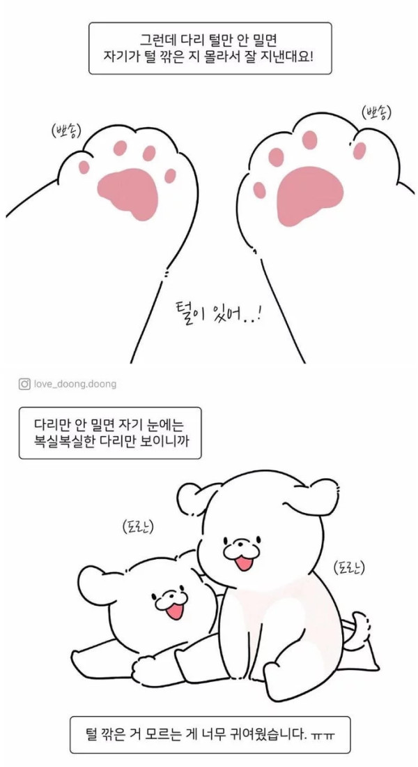 댕댕이들 다리 털만 남겨놓은 이유