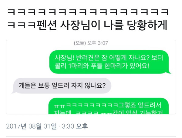 펜션 사장님! 반려견은 어떻게 자나요?