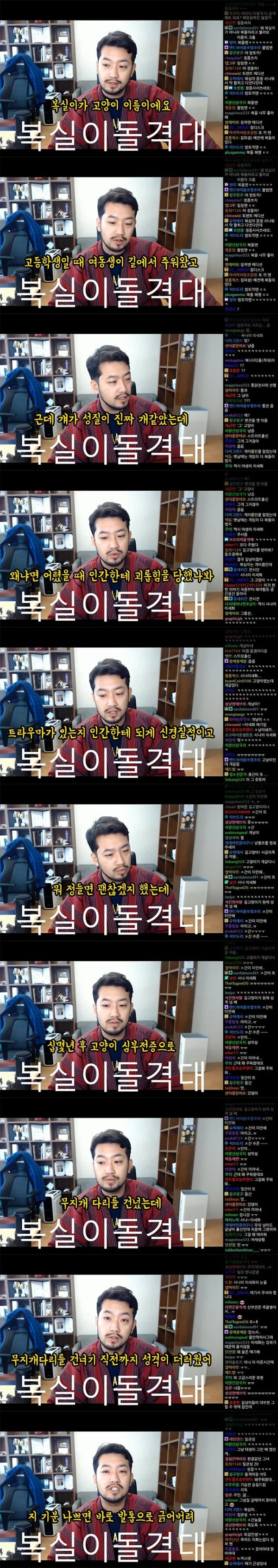 침착맨(구이말년)이 키우던 고양이 복실이 썰