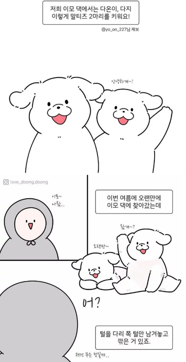 댕댕이들 다리 털만 남겨놓은 이유