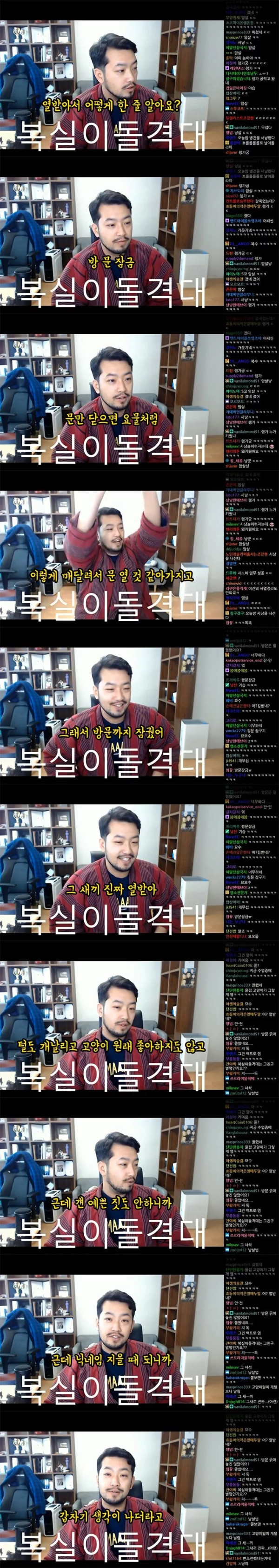 침착맨(구이말년)이 키우던 고양이 복실이 썰