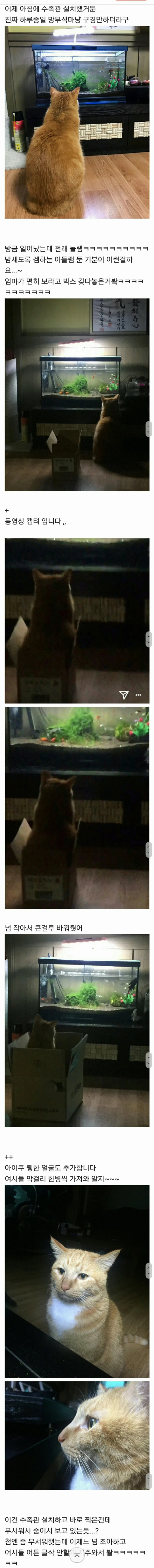 우리집 고양이 밤샜나봐 어뜨케