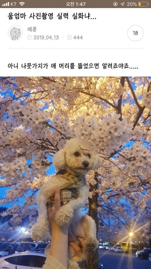 울엄마 사진촬영 실력 실화냐...