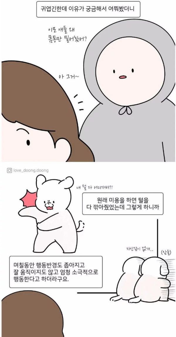 댕댕이들 다리 털만 남겨놓은 이유