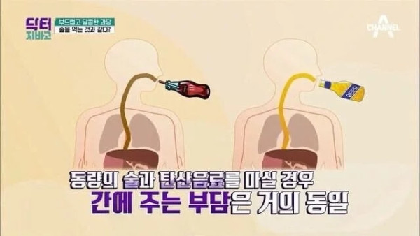 탄산음료의 충격적 진실