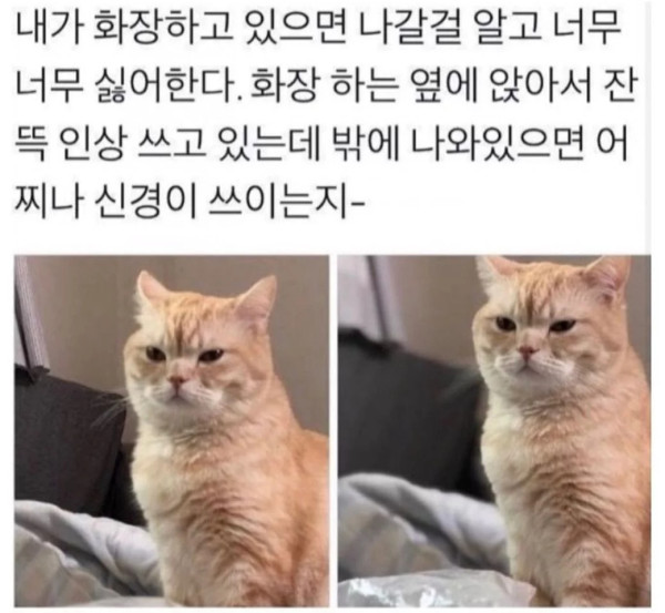 내가 화장하는 꼴을 못봄