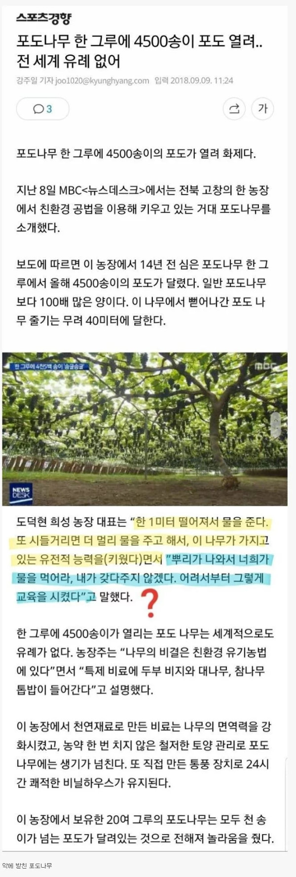 약한 포도는 살아남을 수 없는 농장