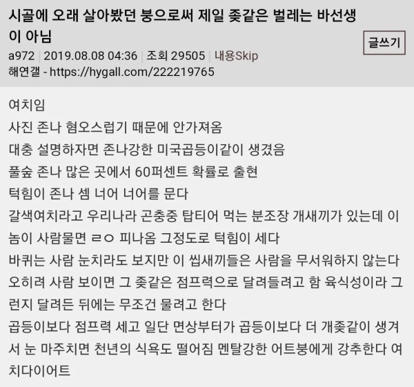 시골에 오래 살아봤던 사람으로서 제일 좆같은 벌레는 바선생이 아님.txt (벌레 사진 없음)